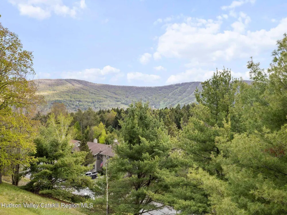 55 Windham Ridge Rd, Windham, NY 12496