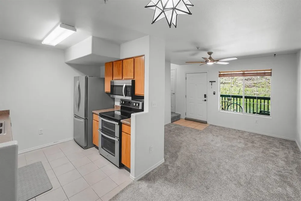 1100 Goeglein Gulch, Durango, CO 81301