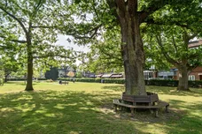 Station Approach, Esher, KT10 photo 18