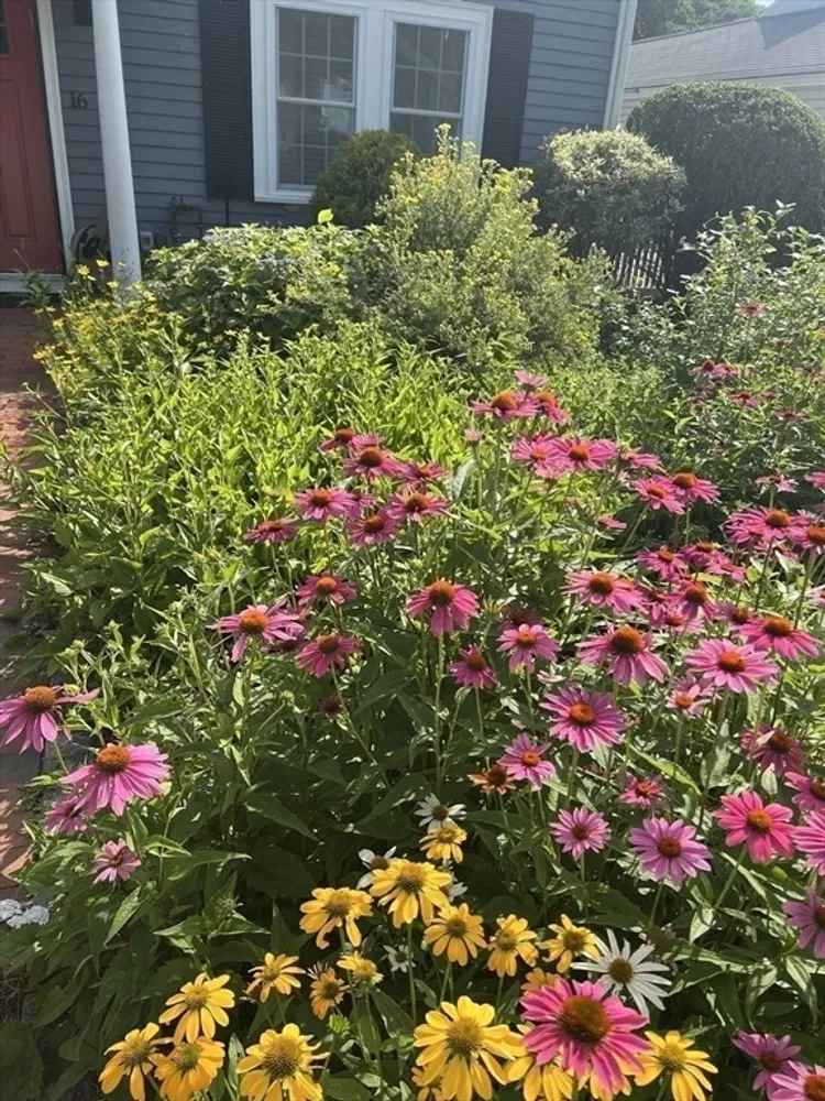 16 Fredette Rd, Newton, MA 02459