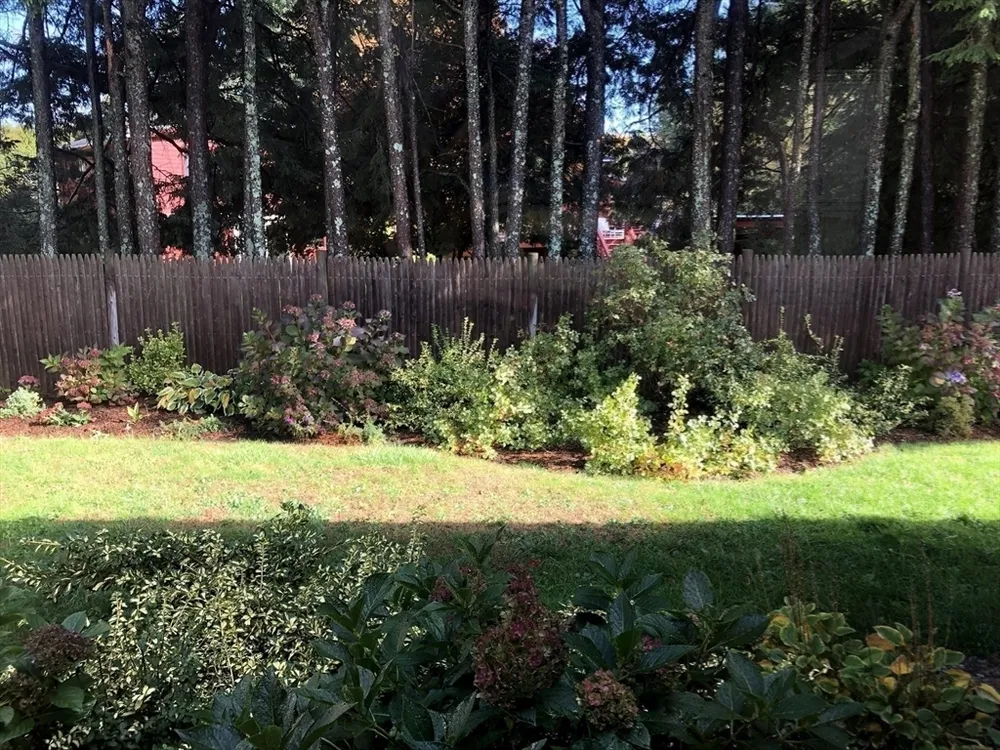 16 Fredette Rd, Newton, MA 02459