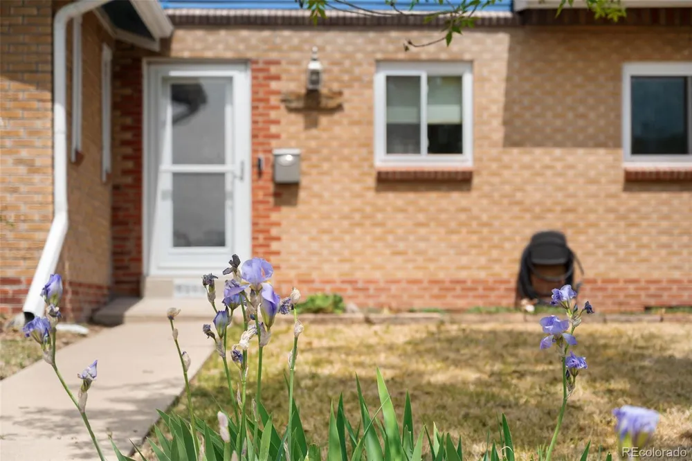 9565 W 52nd Ave, Arvada, CO 80002