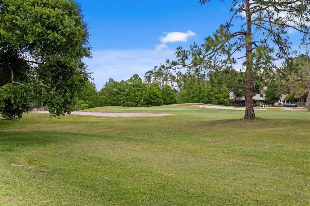 16701 E Course Dr, Tampa, FL 33624