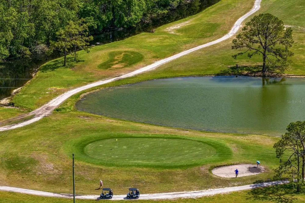 16701 E Course Dr, Tampa, FL 33624