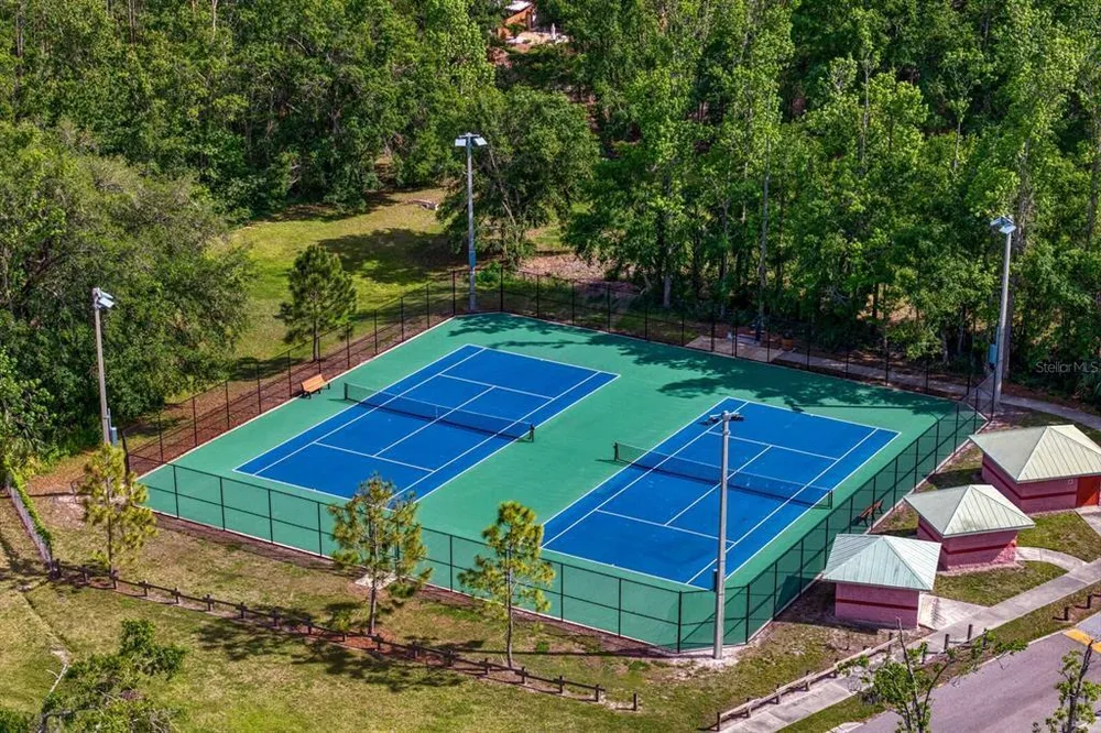 16701 E Course Dr, Tampa, FL 33624