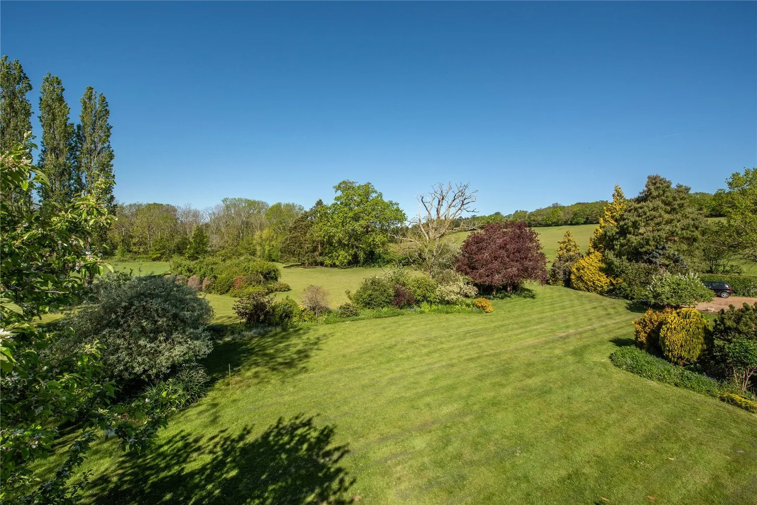 Home Farm, Coldharbour Lane, RH4 photo 20
