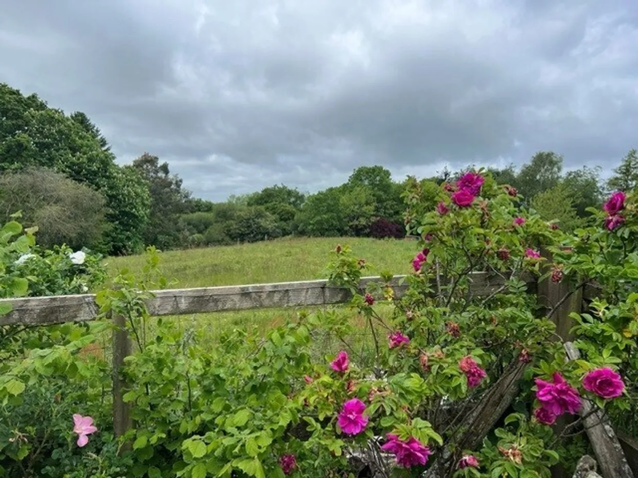 Hale, Fordingbridge, SP6 photo 16