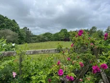 Hale, Fordingbridge, SP6 photo 16