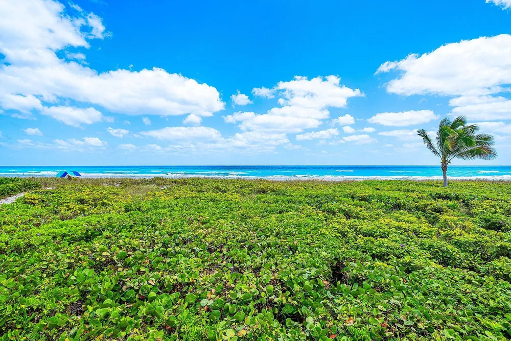 2155 S Ocean Blvd, Delray Beach, FL 33483