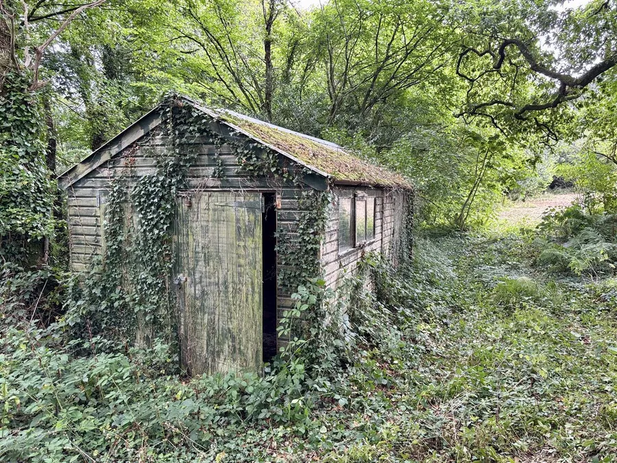 Property Image 18