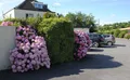 Property image gallery