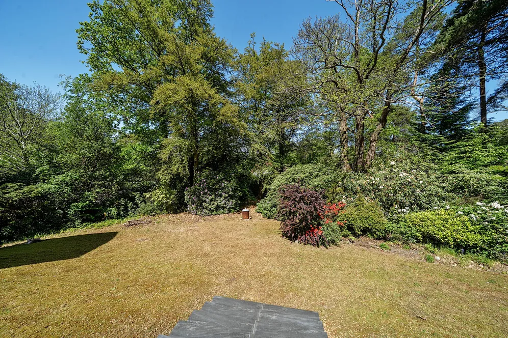 Longdown Close, Lower Bourne, Farnham, GU10 photo 25