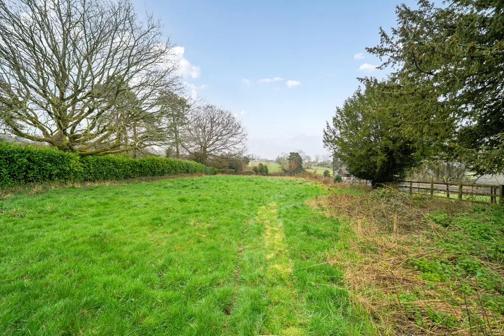 Blackberry Lane, Four Marks, GU34 photo 9