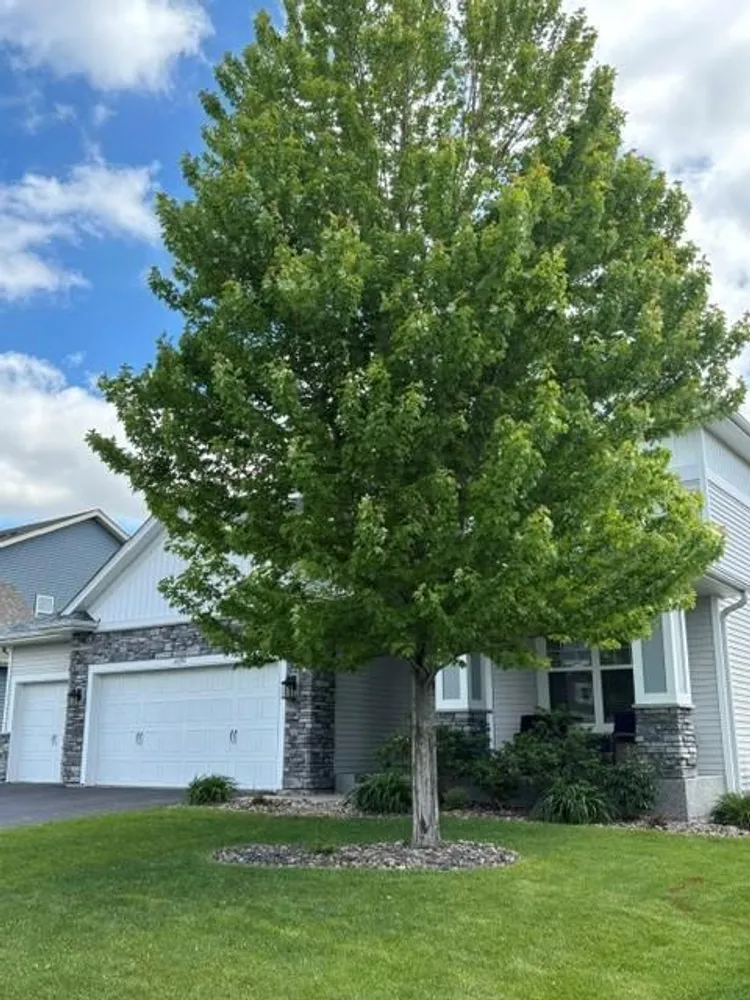 14290 Aldborough Ave, Rosemount, MN 55068