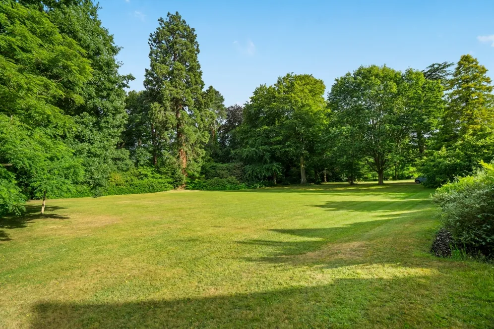 Rise Road, Sunningdale, SL5 photo 16