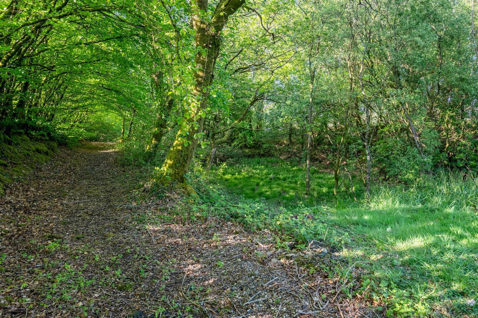 Dunsland Cross, Brandis Corner, Holsworthy Image 28