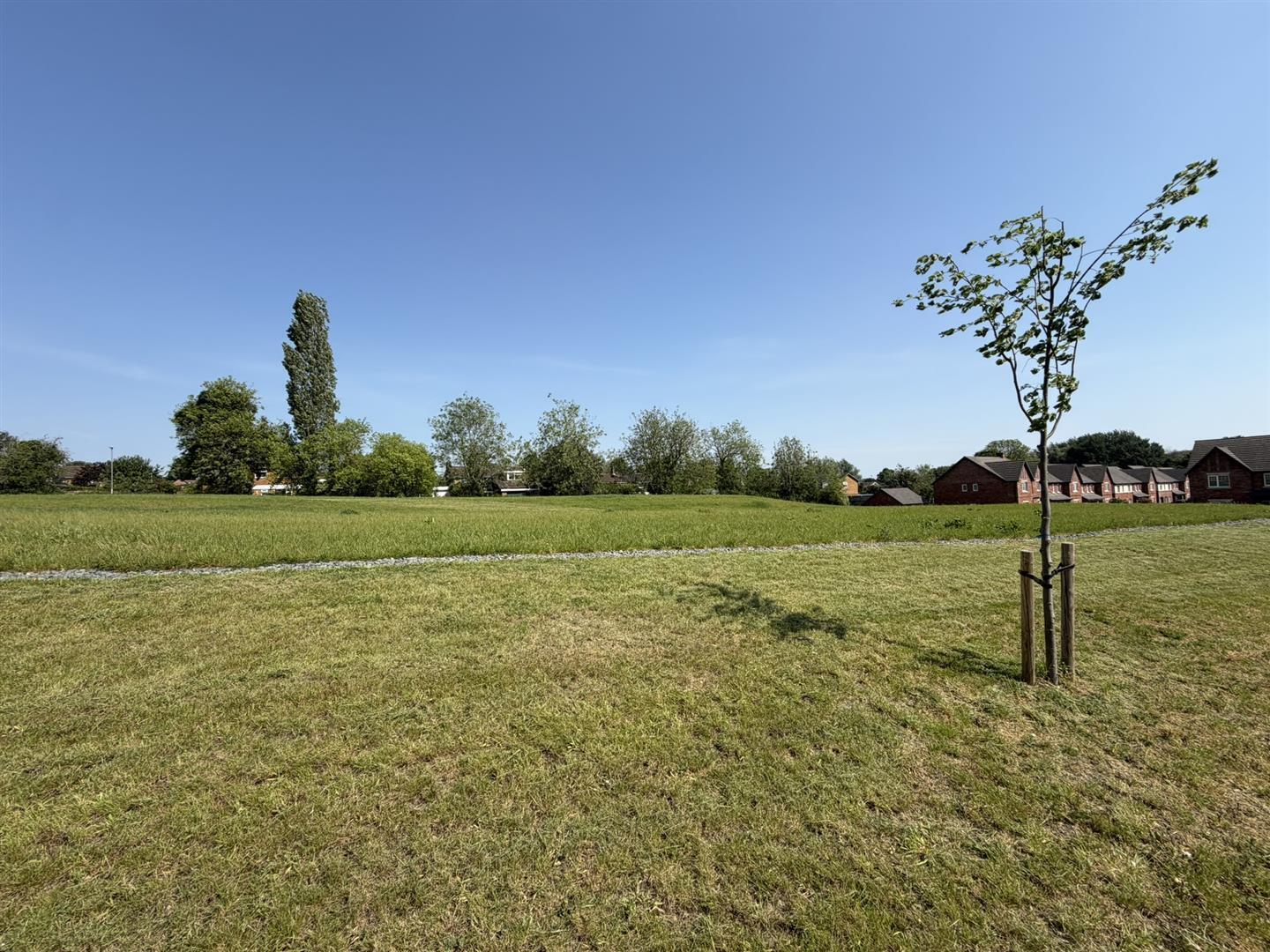 Buttercup Drive, Daventry Image 32