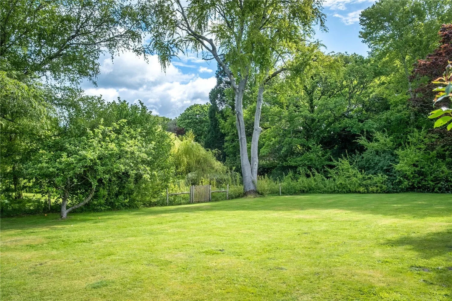 Wardley Green, Milland, GU30 photo 4