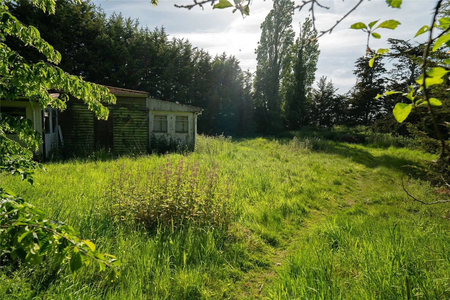 Westerfield, Ipswich, IP6 photo 14