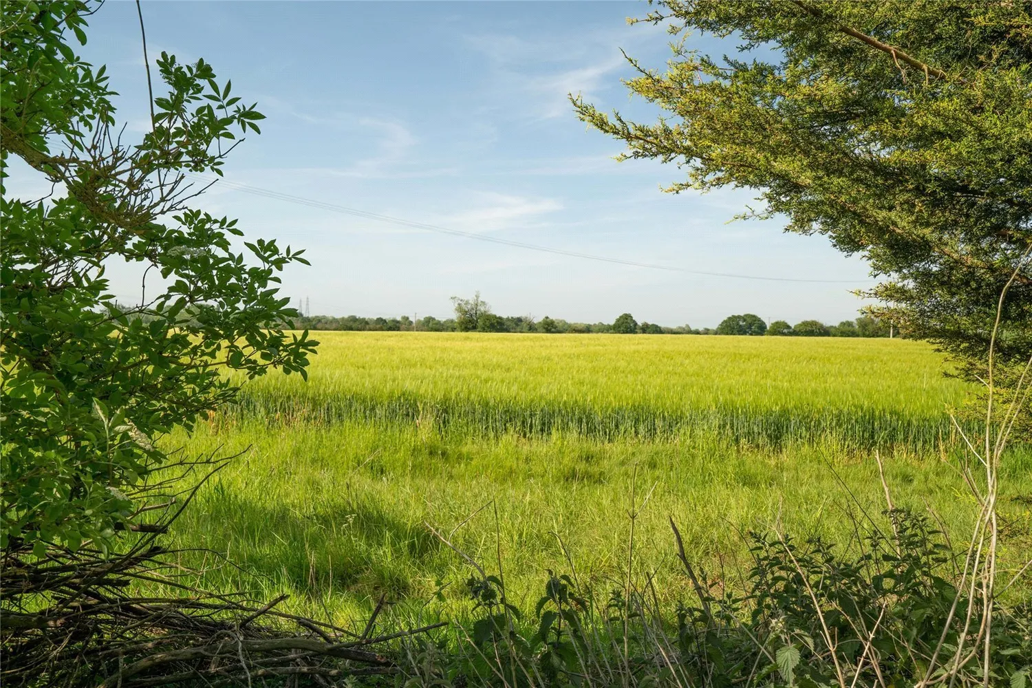 Westerfield, Ipswich, IP6 photo 15