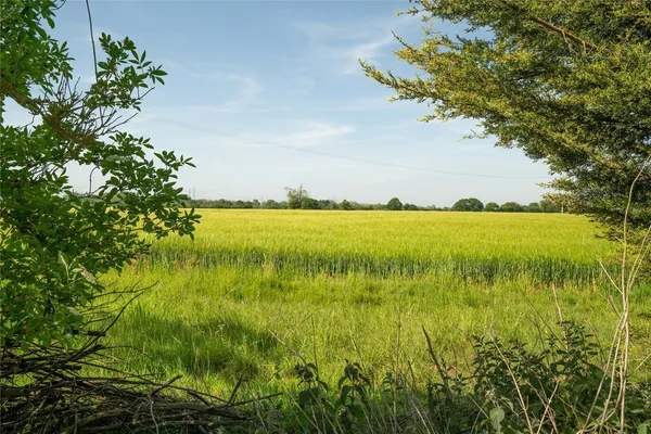 Westerfield, Ipswich, IP6 photo 15