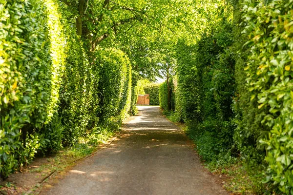 Sandy Lane, Church Brampton, NN6 photo 35