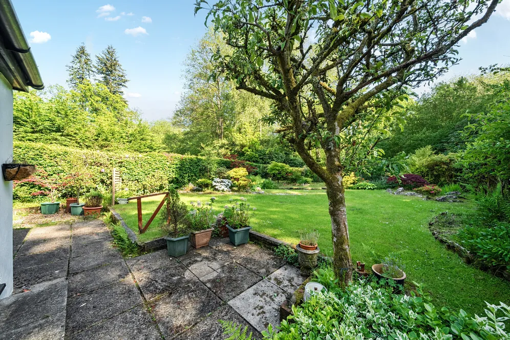 Kingsley Green, Haslemere, GU27 photo 15