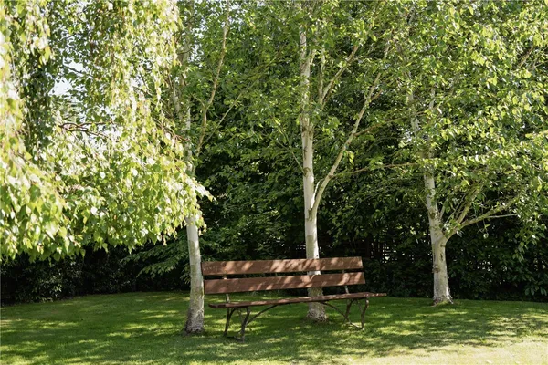 The Street, Surlingham, NR14 photo 32