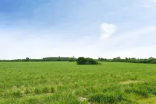 Tiddly Wink, Yatton Keynell, Chippenham