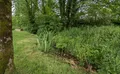Property image gallery