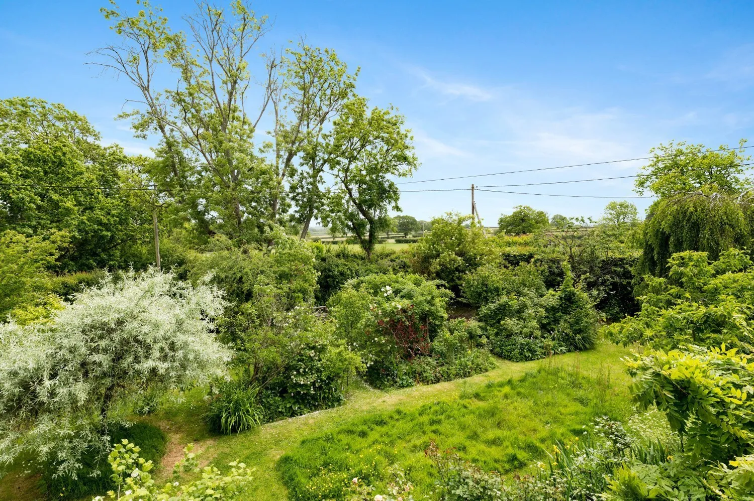 Plumpton Green, Lewes, BN7 photo 10