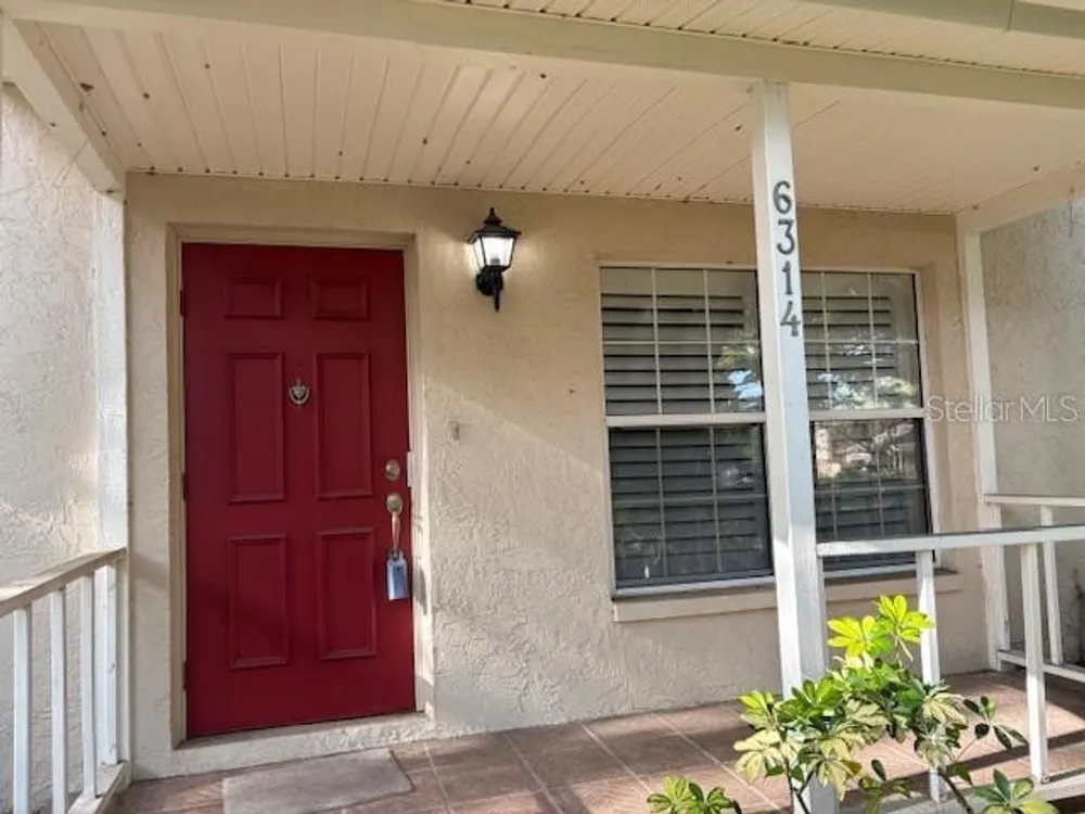 6314 Misty Terrace, Temple Terrace, FL 33617