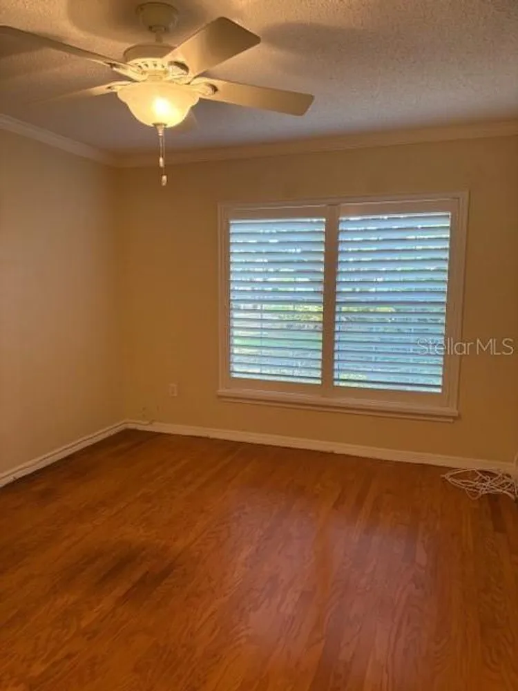 6314 Misty Terrace, Temple Terrace, FL 33617