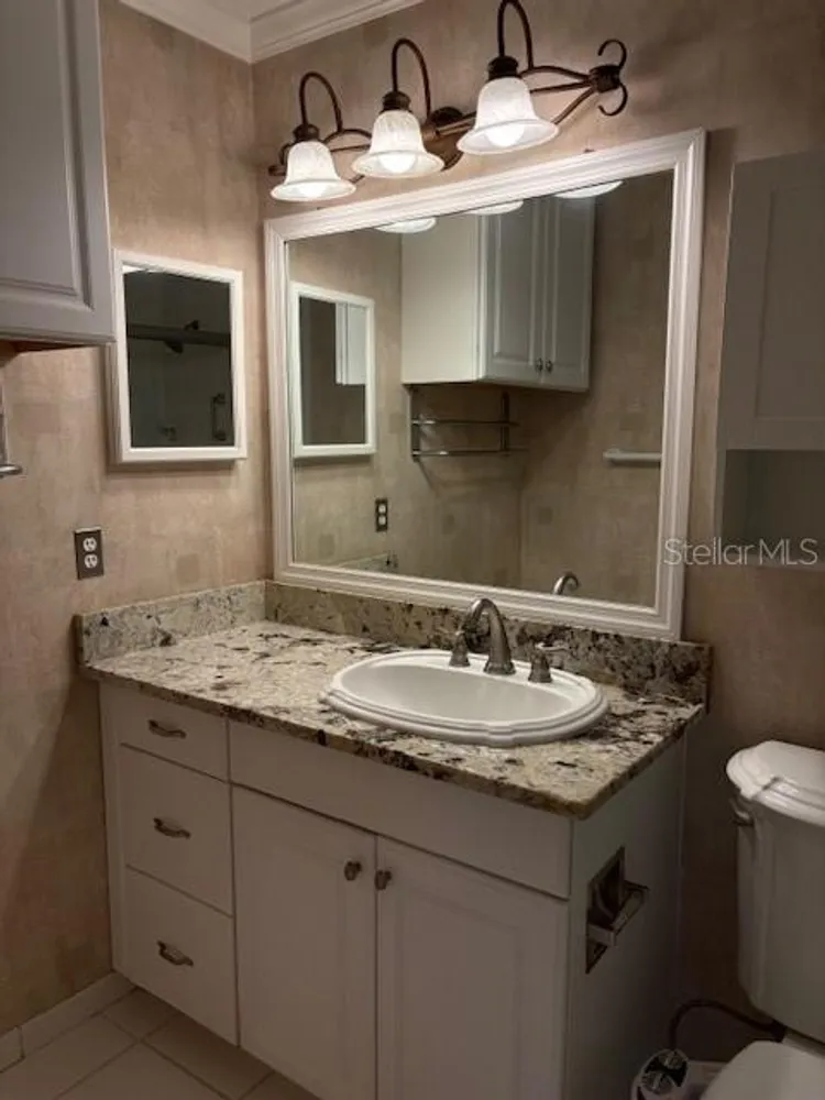6314 Misty Terrace, Temple Terrace, FL 33617