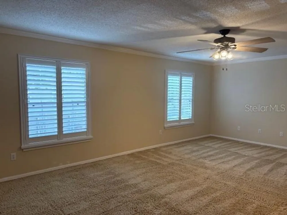 6314 Misty Terrace, Temple Terrace, FL 33617