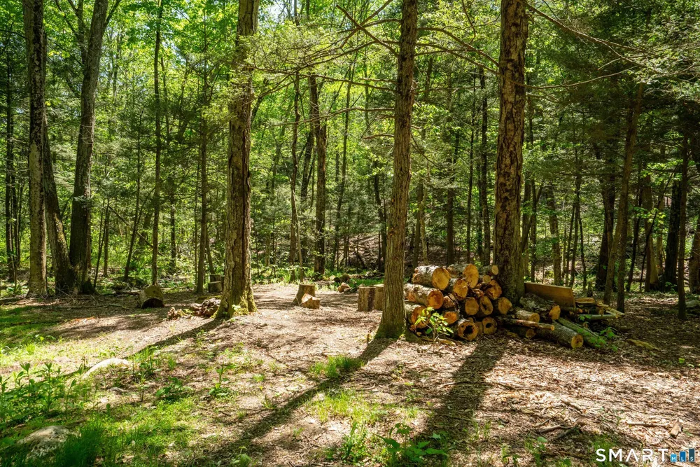 47 Stagecoach Run Dr, Cobalt, CT 06414