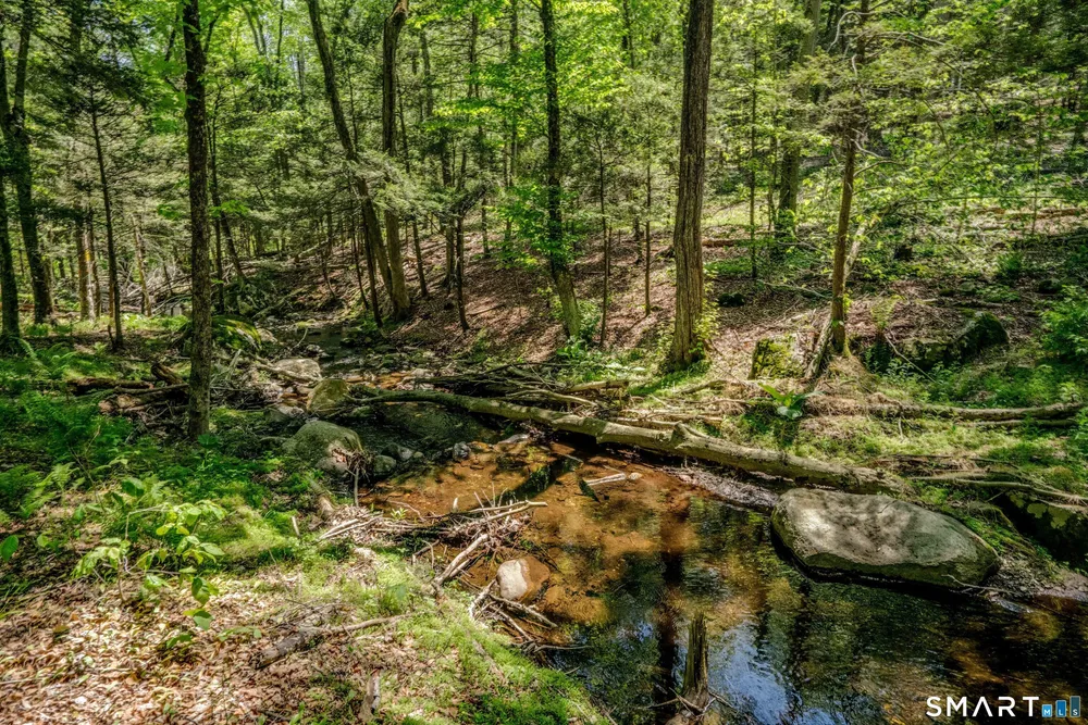 47 Stagecoach Run Dr, Cobalt, CT 06414