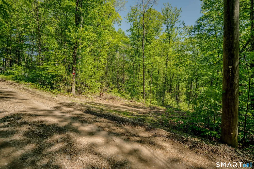 47 Stagecoach Run Dr, Cobalt, CT 06414