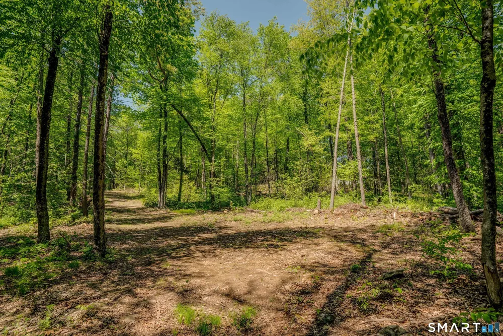 47 Stagecoach Run Dr, Cobalt, CT 06414