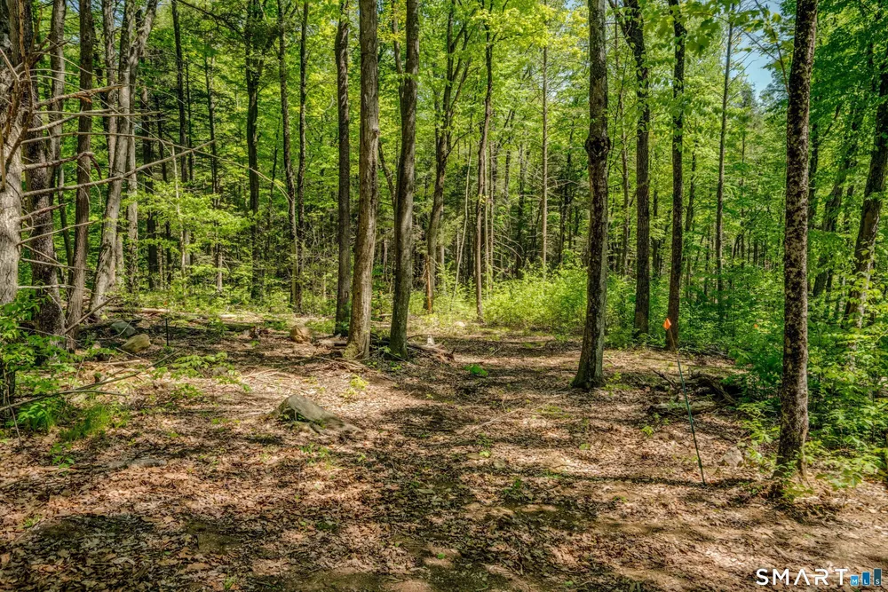 47 Stagecoach Run Dr, Cobalt, CT 06414