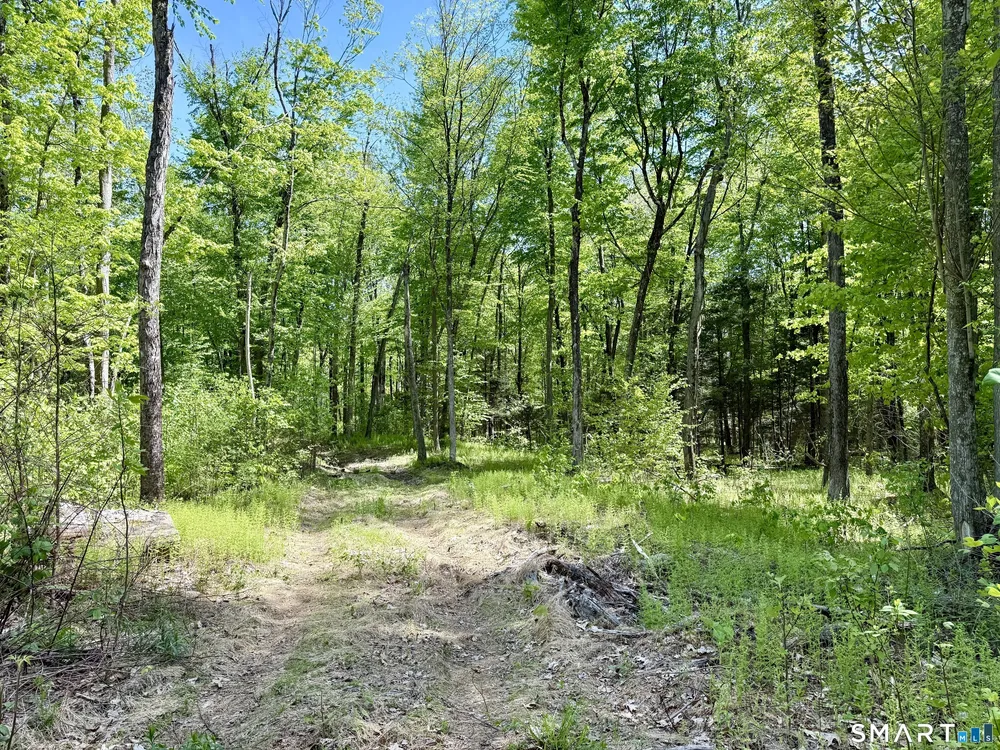 47 Stagecoach Run Dr, Cobalt, CT 06414