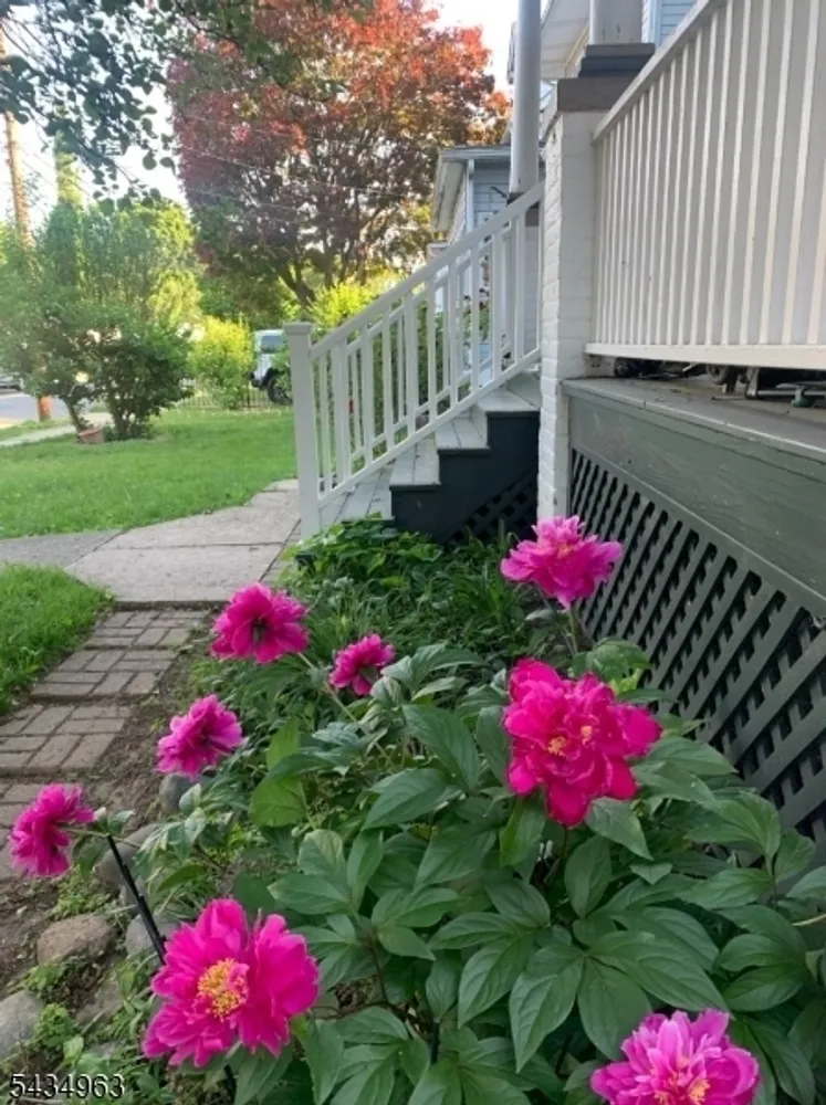 26 Davey St, Bloomfield, NJ 07003