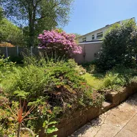 Property 11