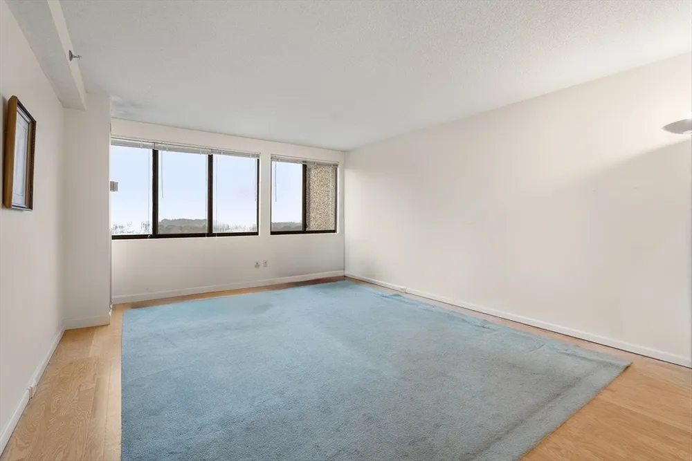 250 Hammond Pond Pkwy, Newton, MA 02467