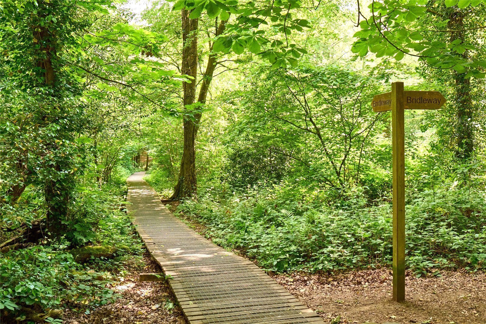 Bolley Avenue, The Green, Bordon, GU35 Image 16