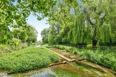 Nolay Close, Ewelme, Wallingford