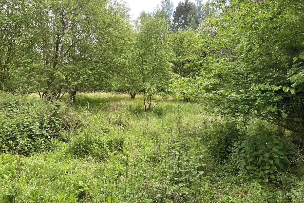 Edenham Road, Bourne
