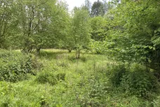 Edenham Road, Bourne