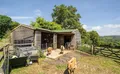 Property image gallery