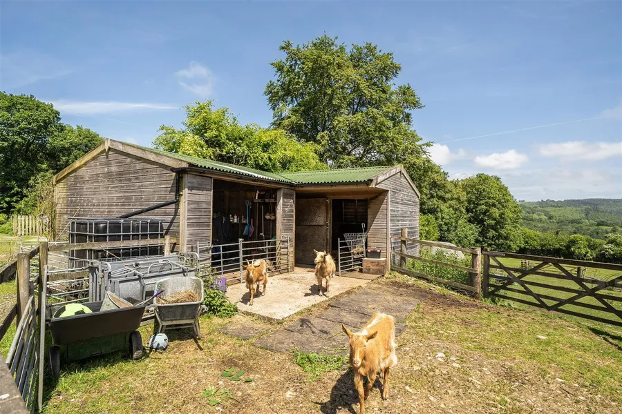 Property Image 21
